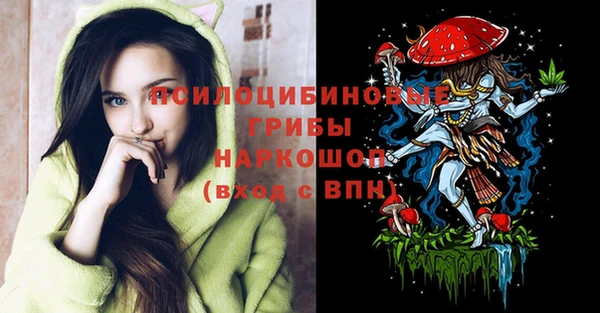 молекула духа Алексеевка
