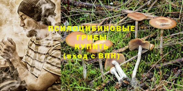 бошки Алзамай