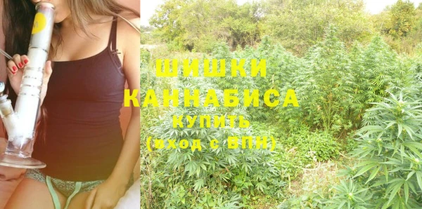 молекула духа Алексеевка