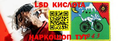 гашик Краснознаменск