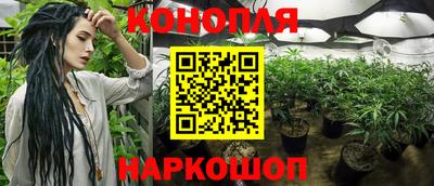 МДПВ Краснодар