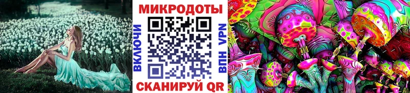 мориарти формула  Дедовск  Галлюциногенные грибы мицелий 