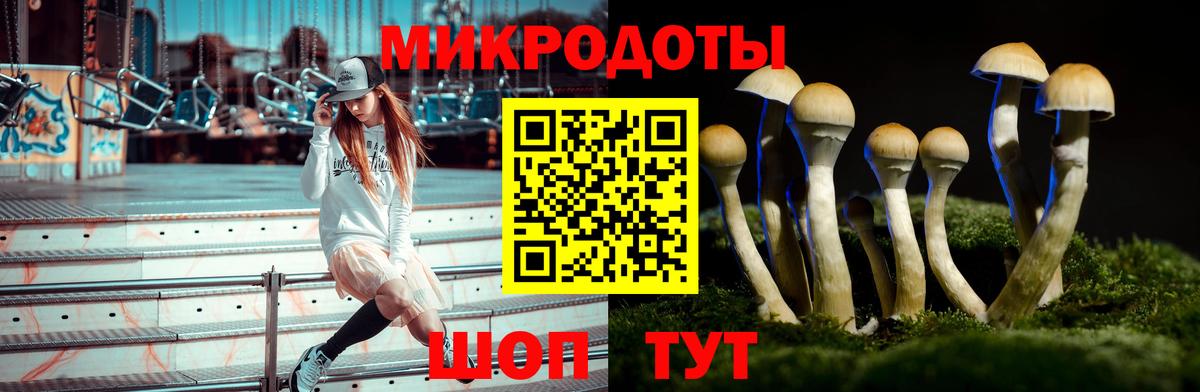 Псилоцибиновые грибы Psilocybe  Вход с VPN  Дедовск 