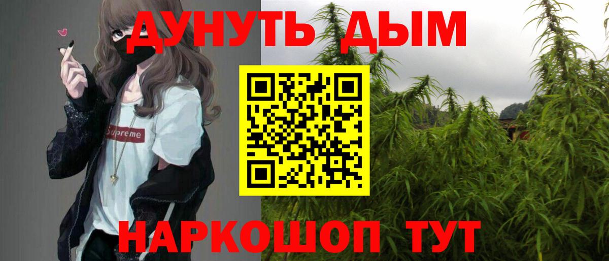 Конопля планчик Дедовск